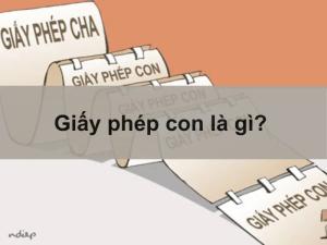 giấy phép con là gì