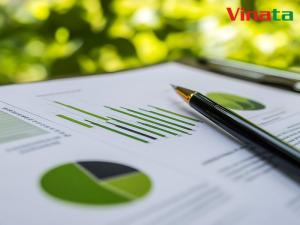 quy trình làm báo cáo thuế